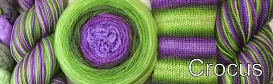 Crocus